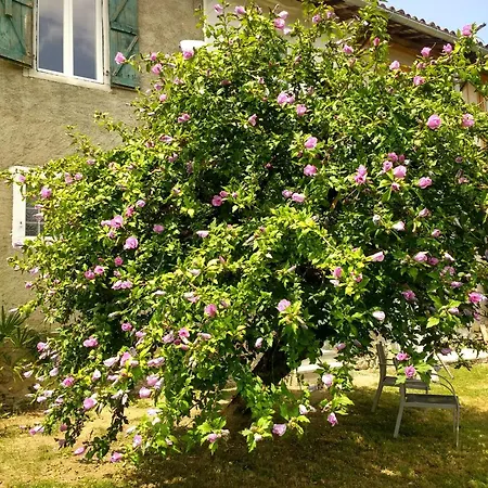Pyrenees Vue Gite - Vues Fantastique, Parking Gratuit Sur Place & Piscine Saint Gaudens Exterior photo