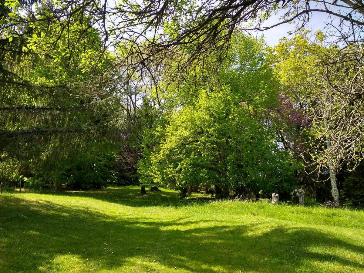Pyrenees Vue - Vues Fantastique, Parking Gratuit Sur Place & Piscine * Saint Gaudens